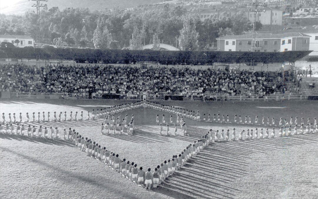 Un camino de barro con Tinta ManchegaEl alma en nuestras raíces, la mirada en el futuro, y lo que nos interesa como nos gusta que nos lo cuenten