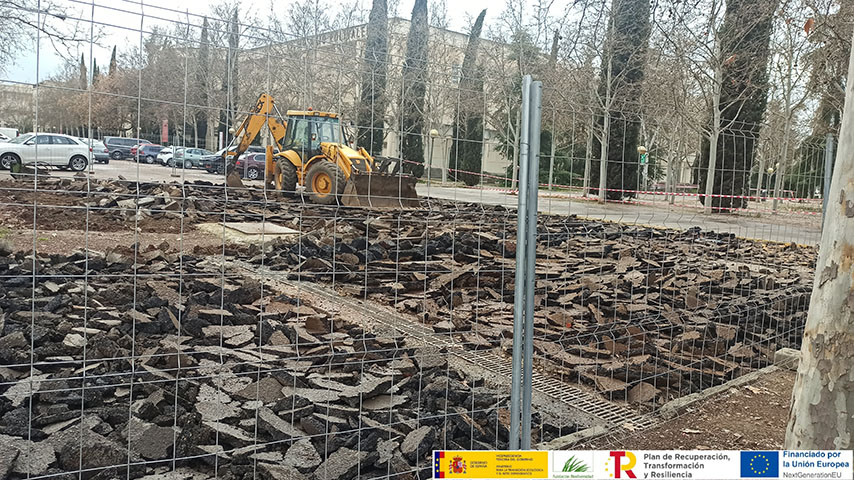 Renaturalización del Campus de Ciudad Real incluidas dentro del paraguas del proyecto CRATER / UCLM