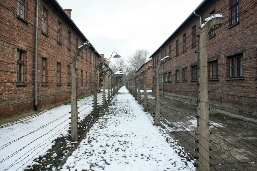 Foto de Julia Taubitz en Unsplash