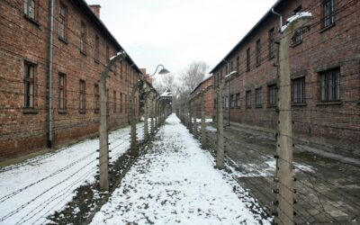 Los Protocolos de Auschwitz: la fuga que alertó al mundo sin cambiar el destinoExiste una gran pregunta sobre el Holocausto: ¿hasta qué punto se sabía sobre lo que ocurría en campos de exterminio como Auschwitz-Birkenau?
