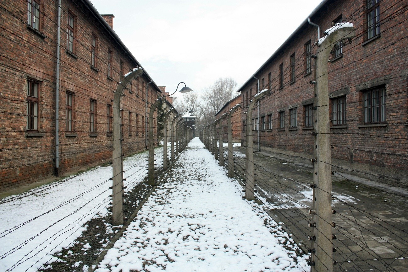 Foto de Julia Taubitz en Unsplash