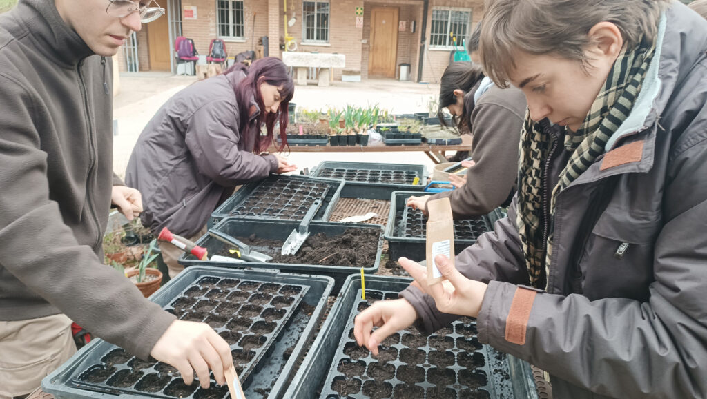 Semillero del proyecto 'Explorando las Plantas Tintóreas' / Real Jardín Botánico