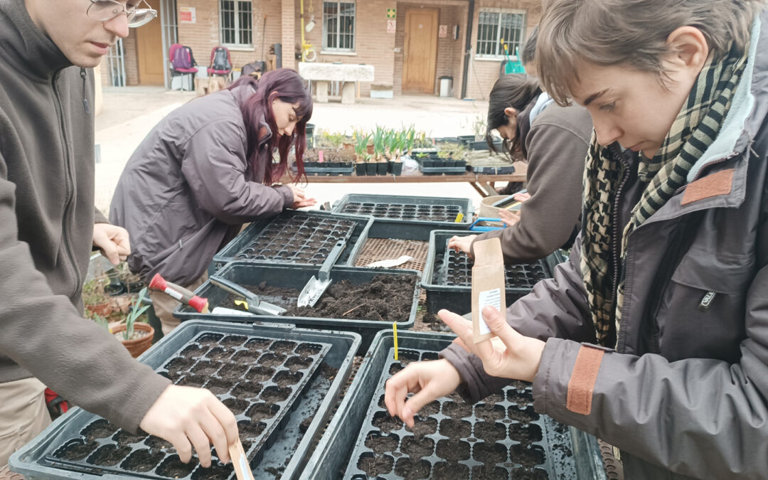 La botánica que vuelve a teñir la modaEl Real Jardín Botánico y el CSDMM impulsan un proyecto que recupera plantas tintóreas para investigar nuevos pigmentos naturales y modelos textiles sostenibles