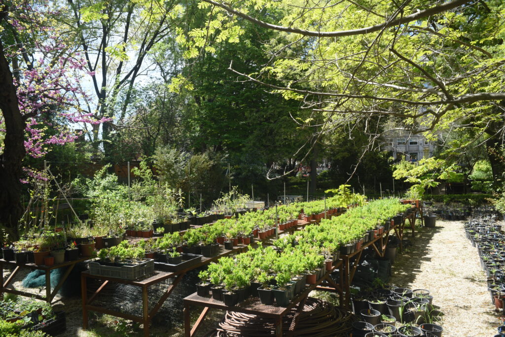 Parque verde / J. Carrascosa