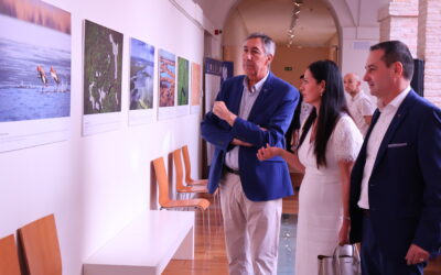 Ciudad Real | ‘Delta Salvaje’ acerca la riqueza natural de Rumanía al Museo de la MercedLa exposición, organizada por el Consulado de Rumanía, reúne fotografías con una mirada cultural, educativa y medioambiental sobre la biodiversidad del país