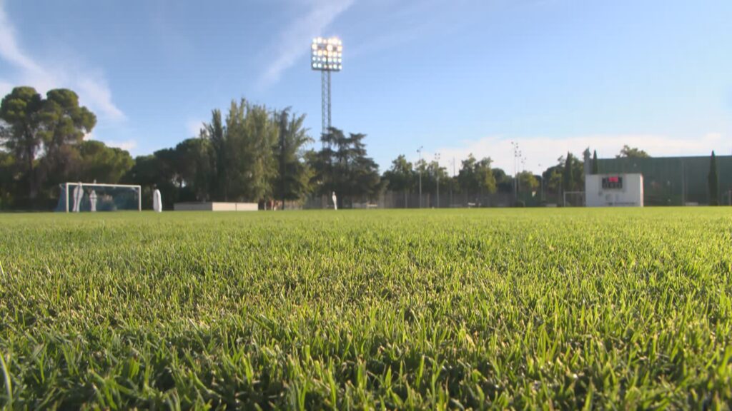 El Ayuntamiento mejora el césped y el graderío del Rey Juan Carlos I y prepara un nuevo videomarcador / Ayto. Ciudad Real