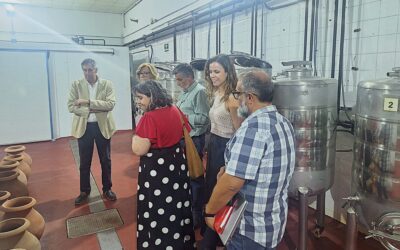 Tomelloso | El IES Francisco García Pavón estrenará un certificado profesional de elaboración de vinos y licoresLa formación tendrá 600 horas, 15 plazas y 80 horas de prácticas en empresas, con la colaboración del IVICAM y orientación al sector vitivinícola