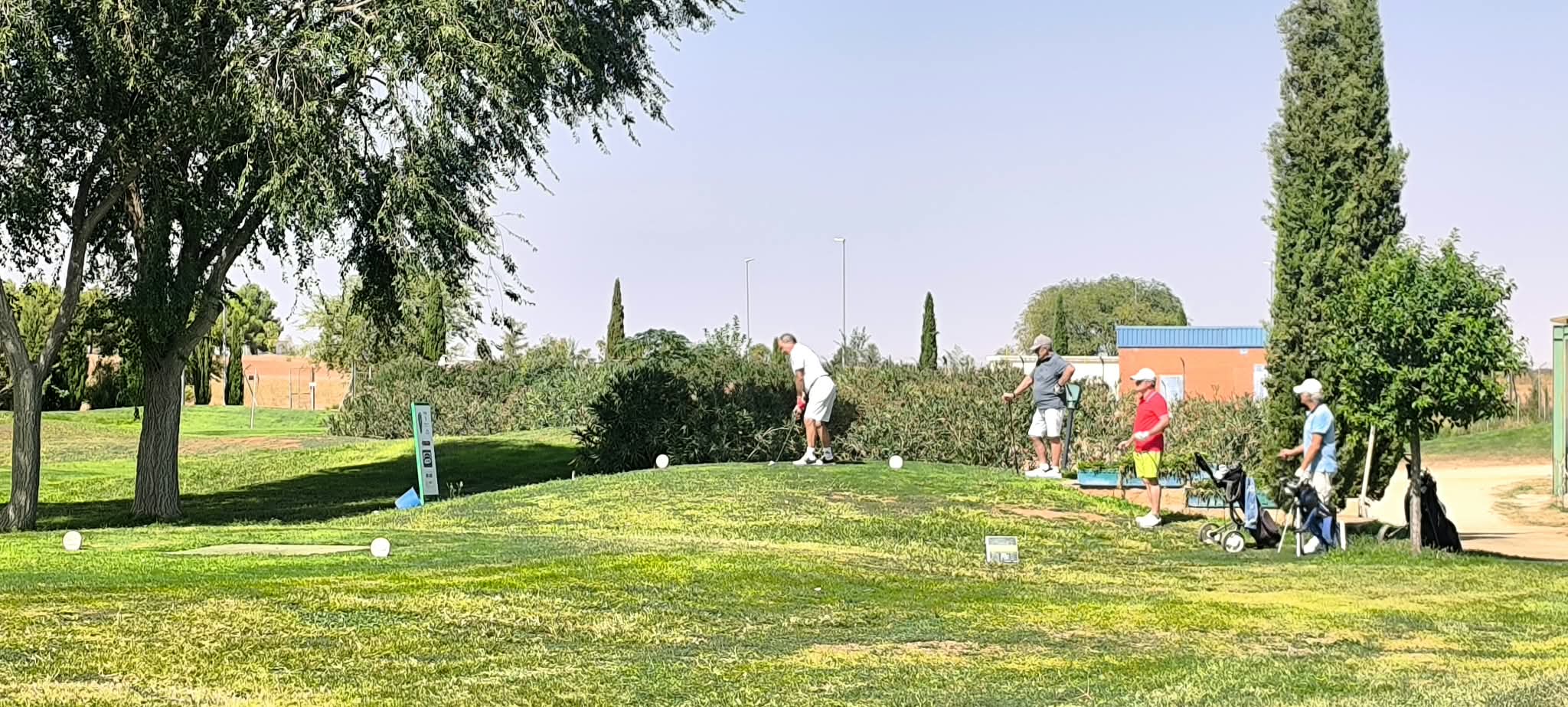 El Torneo de Ferias y Fiestas reúne a cerca de 130 golfistas en Abedul Golf / Ayto. Alcázar de San Juan El Torneo de Ferias y Fiestas reúne a cerca de 130 golfistas en Abedul Golf / Ayto. Alcázar de San Juan